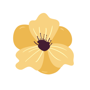 Hand Drawn Wild Flower Png