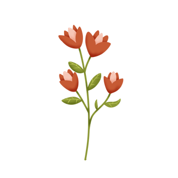 Hand Drawn Wild Flower Png