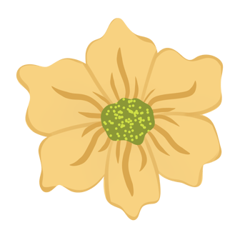 Hand Drawn Wild Flower Png