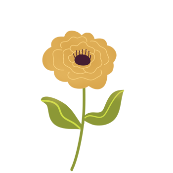 Hand Drawn Wild Flower Png