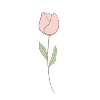 Hand Drawn Wild Flower Png