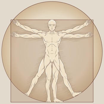 Vitruvian man Vector design