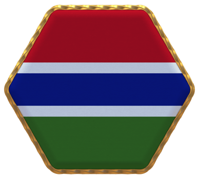 Gambia Flag in Hexagon Shape with Gold Border, Bump Texture, 3D Rendering png