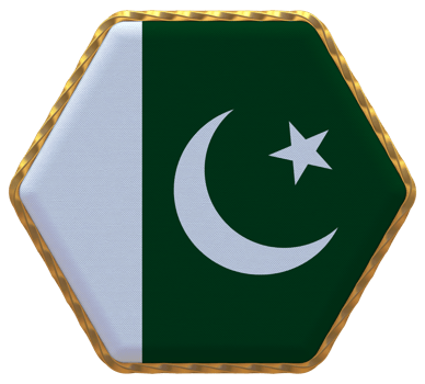 Pakistan Flag in Hexagon Shape with Gold Border, Bump Texture, 3D Rendering png