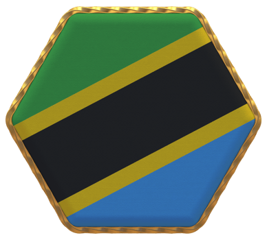 Tanzania Flag in Hexagon Shape with Gold Border, Bump Texture, 3D Rendering png
