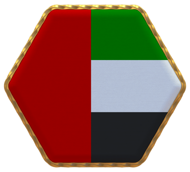 United Arab Emirates Flag in Hexagon Shape with Gold Border, Bump Texture, 3D Rendering png
