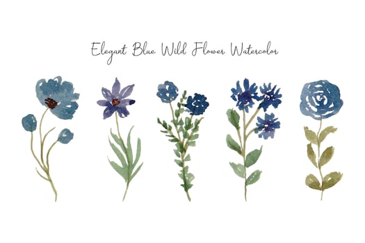 Elegant Wild Flower Watercolor Collection vector