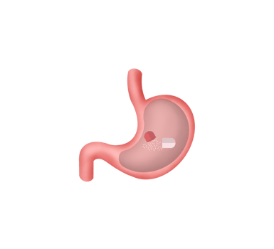 Stomach Intestine Is Being Treated With Medicine Pill, Capsule with medicaments, Dissolving drug, Human Stomach treatment, Capsule with medicaments, gastritis vaccine in a pill concept png