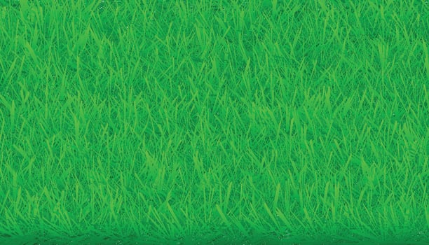Green Grass Texture Illustration Background vector