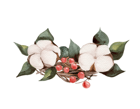 Cotton branches and red berries composition . png