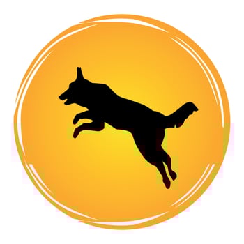 Dog Retro Sunset Vintage Vector t shirt Design