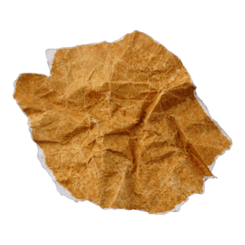Vintage Ripped Crumpled Old Paper Cutout png