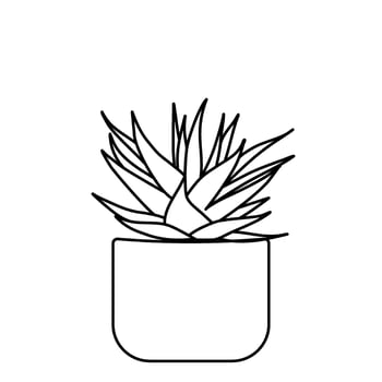 cactus line art cacti desert illustration hand drawn vector