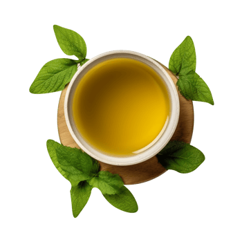 Tasty green tea cup isolated on transparent background png