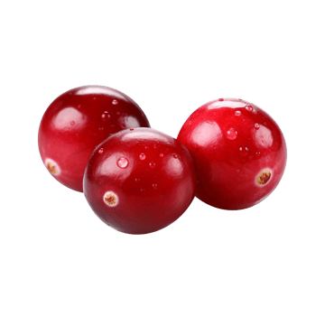 Fresh cranberry pair isolated on transparent background png