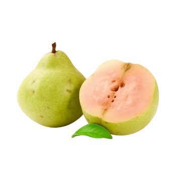 Fresh guava fruit with slice isolated on transparent background png