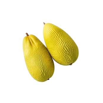 Fresh jackfruit isolated on transparent background png