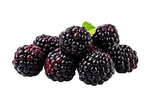 Bunch of fresh blackberries isolated on transparent background png