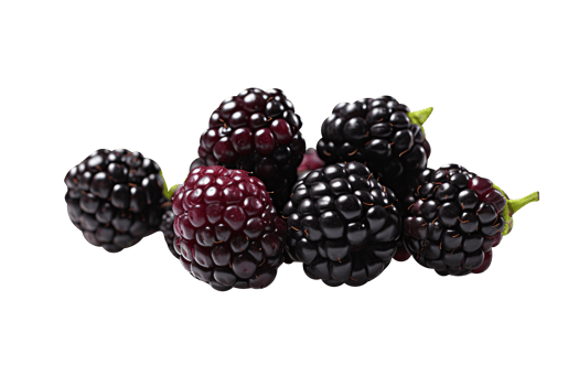 Bunch of fresh blackberries isolated on transparent background png
