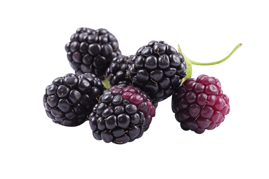 Bunch of fresh blackberries isolated on transparent background png