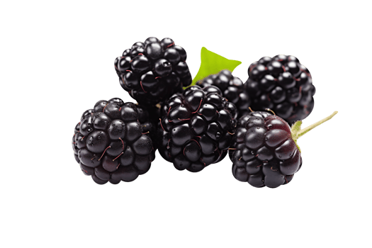 Bunch of fresh blackberries isolated on transparent background png