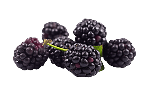 Bunch of fresh blackberries isolated on transparent background png
