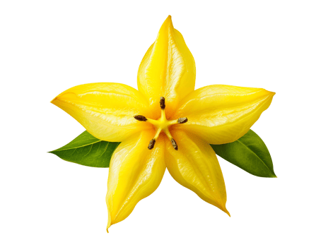 Fresh star fruit isolated on transparent background png