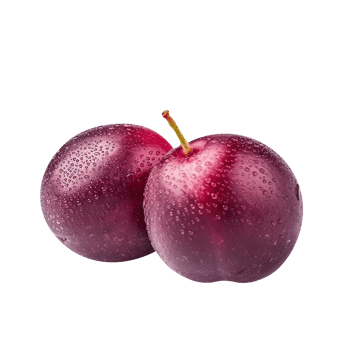 Fresh plum fruit pair isolated on transparent background png