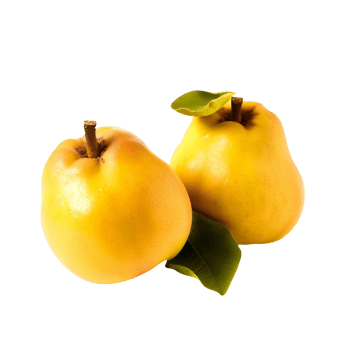 Fresh quince fruit isolated on transparent background png