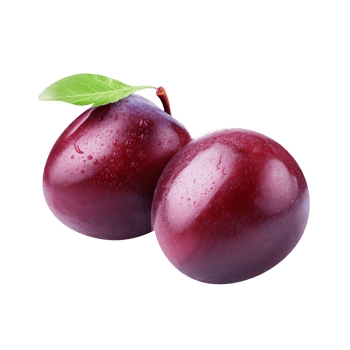 Fresh plum fruit pair isolated on transparent background png