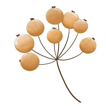 yellow berry autumn png