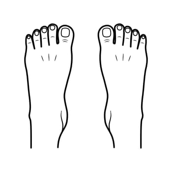 Two bare human feet. Top view. Foot legs. Vector flat outline icon illustration isolated on white background.