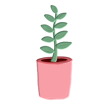 Indoor plants decoration png