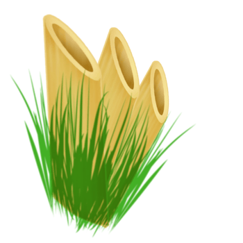 bamboo and green grass png