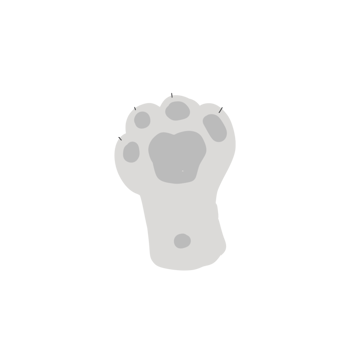 Cute cat paw png
