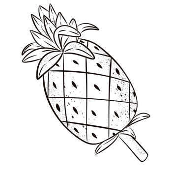 Pineapple out line. png