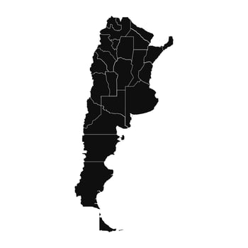 Abstract Argentina Silhouette Detailed Map vector