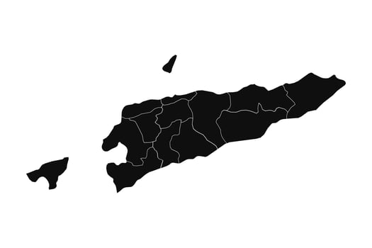 Abstract East Timor Silhouette Detailed Map vector