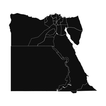 Abstract Egypt Silhouette Detailed Map vector