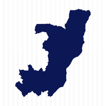Flat Simple Republic of the Congo Vector Map
