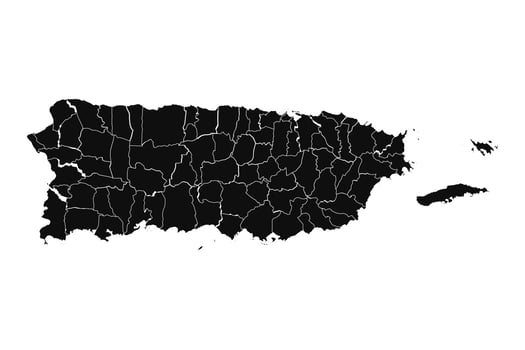 Abstract Puerto Rico Silhouette Detailed Map vector