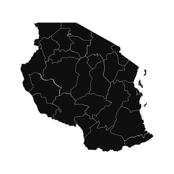 Abstract Tanzania Silhouette Detailed Map vector