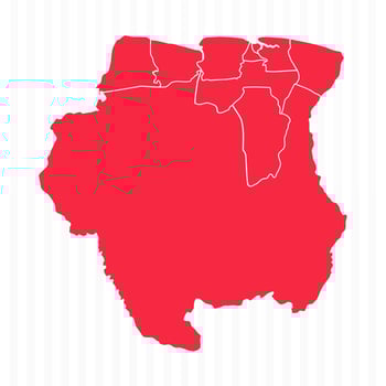 States Map of Suriname With Detailed Borders vector