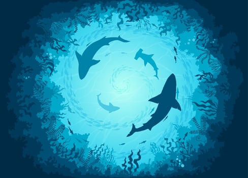 Underwater sea landscape with sharks and fishes vector