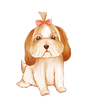 Watercolor of cute Shih Tzu dog character png