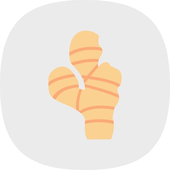 Ginger Vector Icon Design