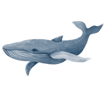 whale blue whale png