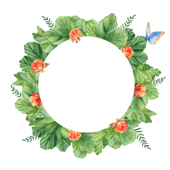 Cloudberry leaves, berries, green branches and blue butterfly. Watercolor circle summer forest frame. Hand drawn botanical illustration. Can be used for logo design, as invitation card for birthday. png