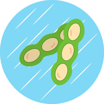 Soy Vector Icon Design