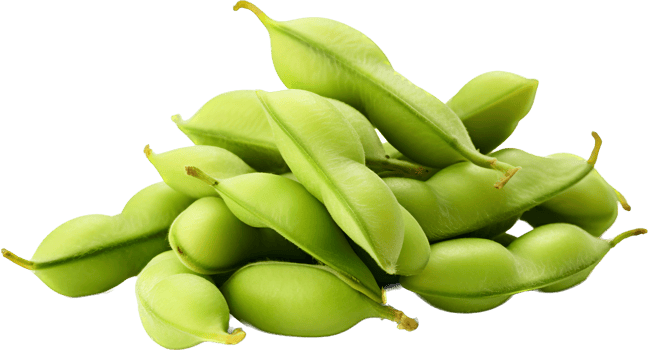 Edamame with . png